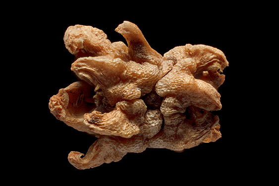 Beta vulgaris - beet root