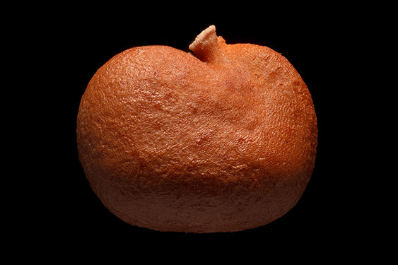 Capparis spinosa - caper