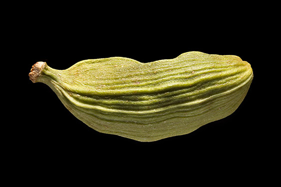 Elettaria cardamomum - kardamon