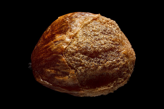 Juniperus communis - juniper berry