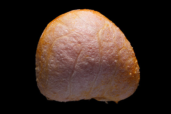 Rubus chamaemorus - cloudberry