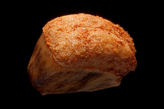 Sorbus aucuparia - rowan